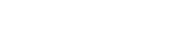 VFS Global